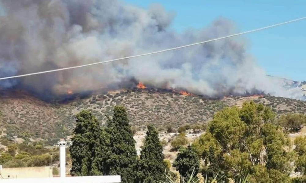 Δήμαρχος Σαρωνικού: Η φωτιά έχει κάψει μια πλαγιά και μια τεράστια ρεματιά